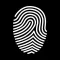 FSB F-Scan