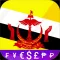 Fast Bruneian Dollar converter