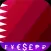 Fast Qatari Riyal converter