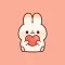 Cuddle Rabbit Animated