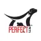 Perfect Pets