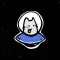 Spacocat