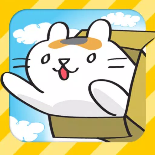 Boxy Cat: Adventure of Kitten Boxy Cat: Adventure of Kitten