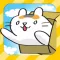Boxy Cat: Adventure of Kitten