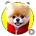 Boo The Happiest Dog