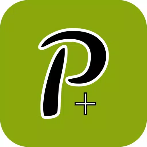 P-Calc P-Calc
