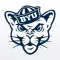 ROC Pass - Your Pass for the BYU Student Section