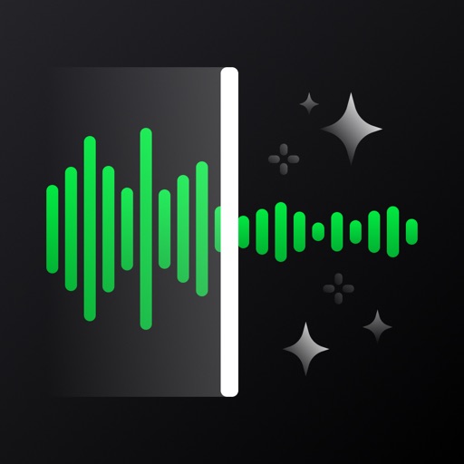 Audio Noise Reducer: Denoise