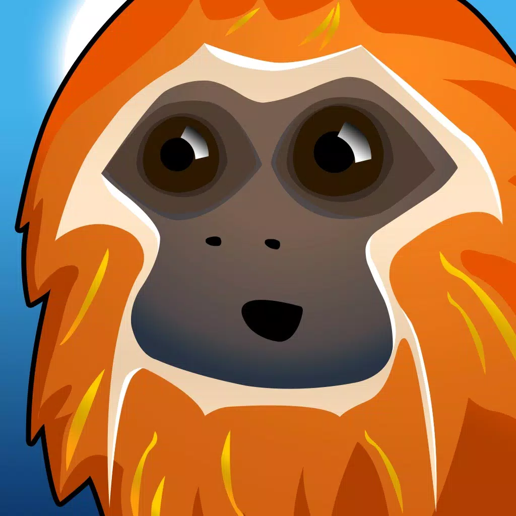 RIN the Tamarin RIN the Tamarin