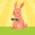 Rabbit Weather