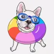Frenchie Let's Play
