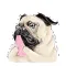 Pug's Life