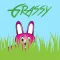 Grassy