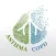 Asthma COPD 2019