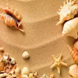 HD Wallpapers for HTC Evo