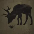 NY Hunting Rules & Hunting Regulations - PITA