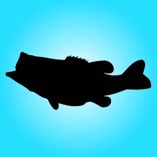 Bass Log