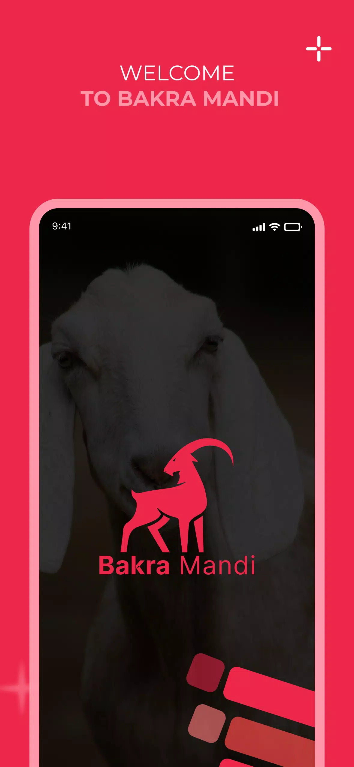 Bakra Mandi Screenshots