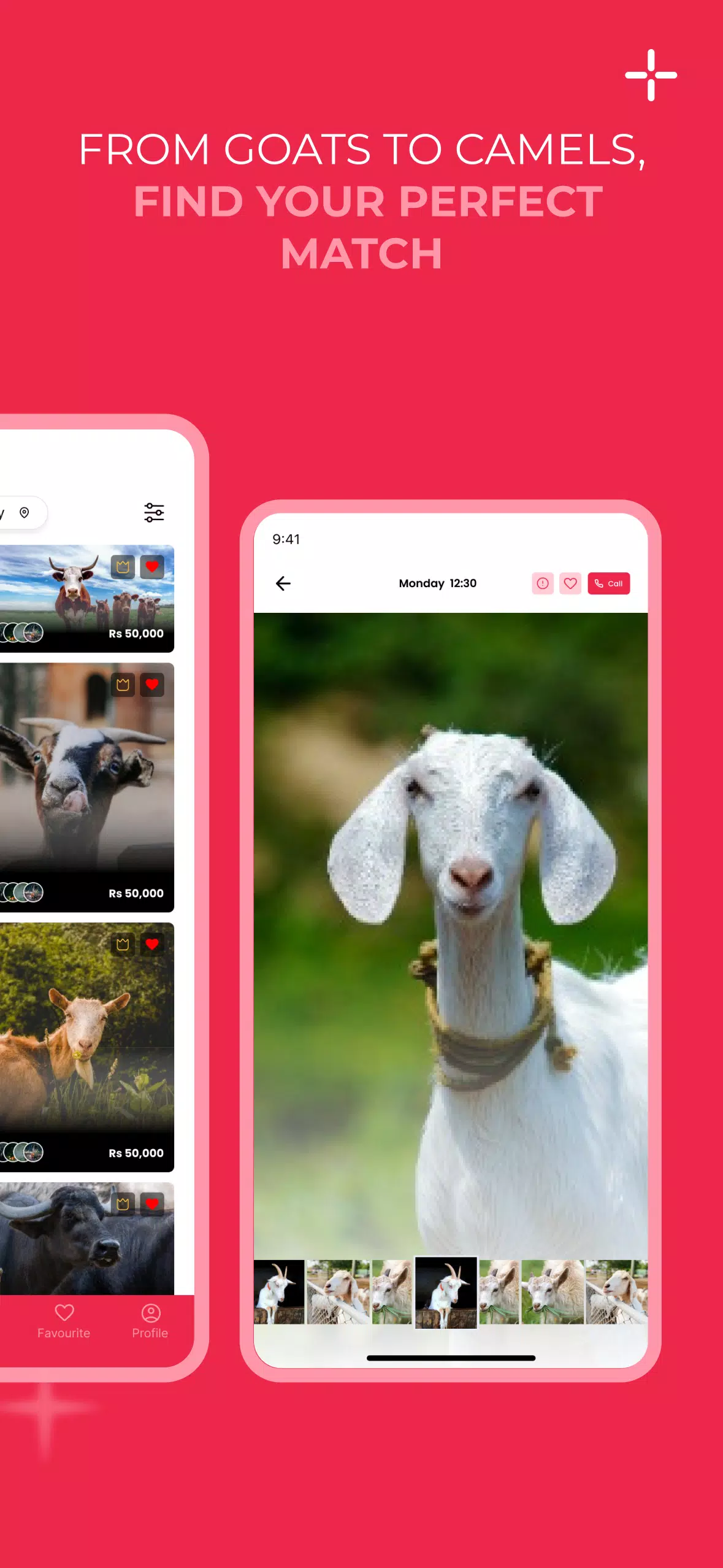 Bakra Mandi Screenshots