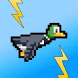 Zappy Duck