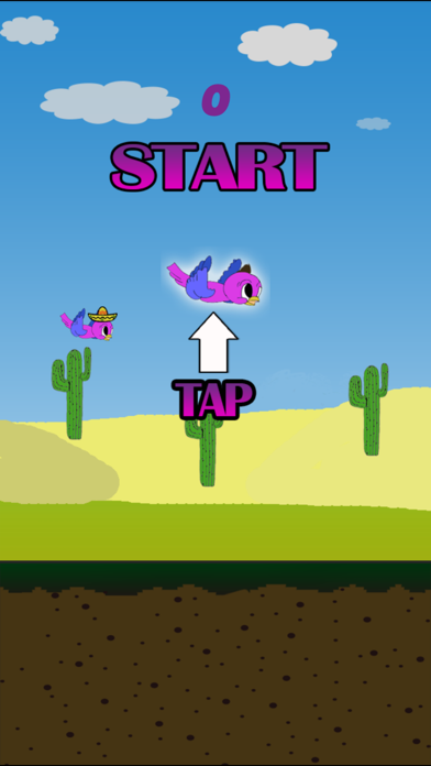 تصاویر Bird Touch