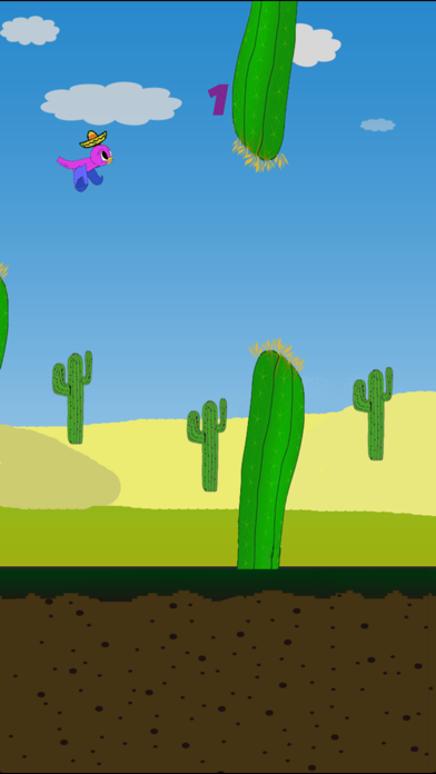 تصاویر Bird Touch