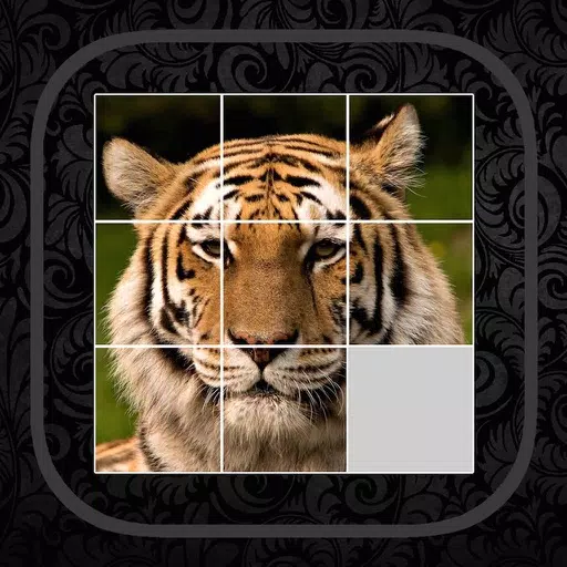 Knowledge Puzzle Knowledge Puzzle