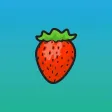 Strawberry Network App