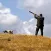Hunting - birdcall birdsong