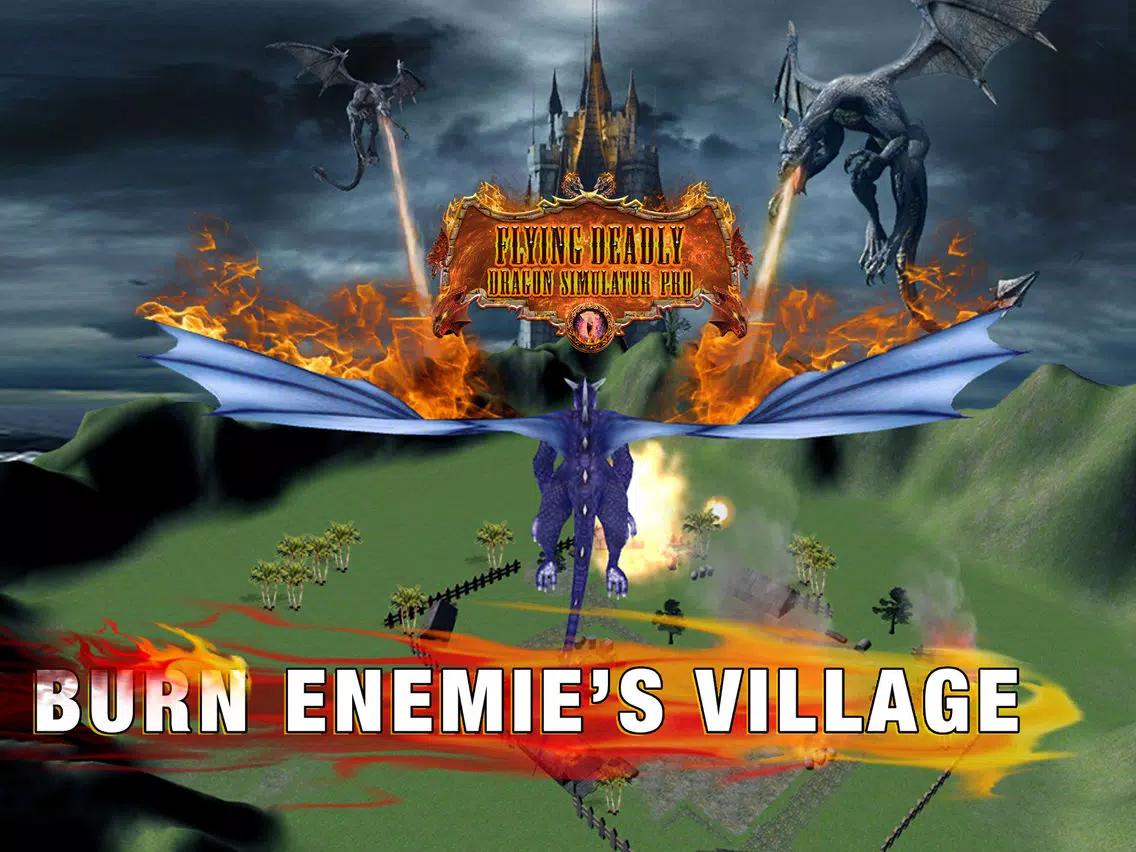 Flying Deadly Dragon Pro iPad スクリーンショット