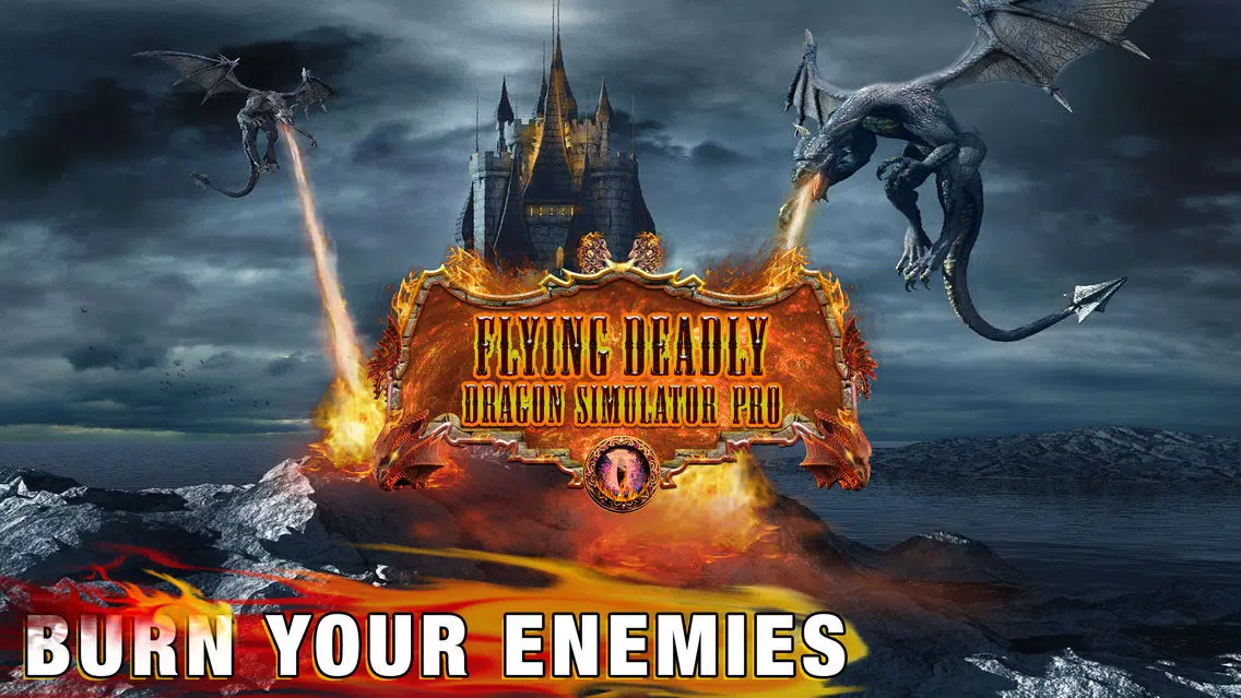 Flying Deadly Dragon Pro スクリーンショット