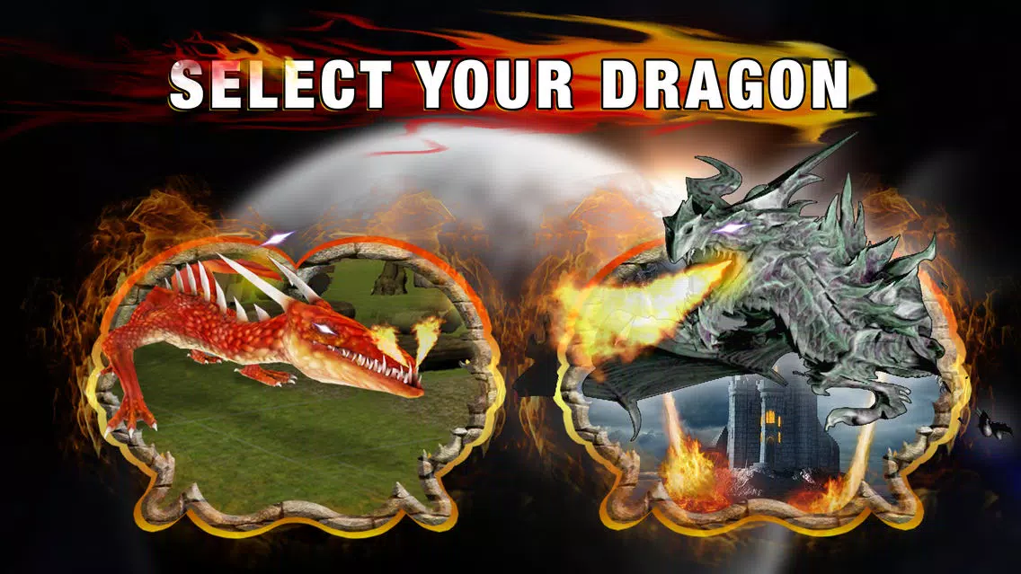 Flying Deadly Dragon Pro スクリーンショット
