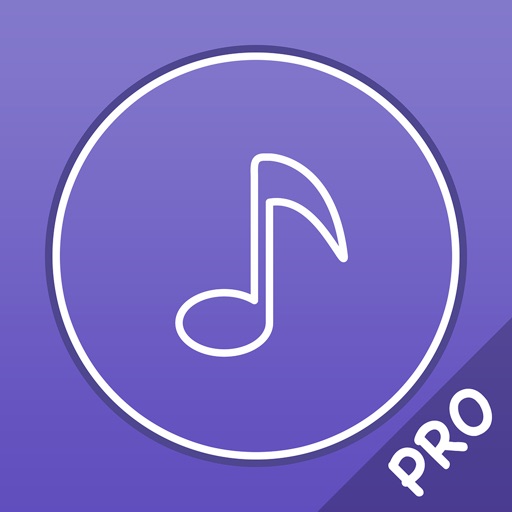 Music Player Pro - Player for lossless music Music Player Pro - Player for lossless music