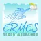 Ermes SMS Plus