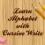Learn Alphabet with Cursive Write