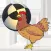 Chickens Hunter