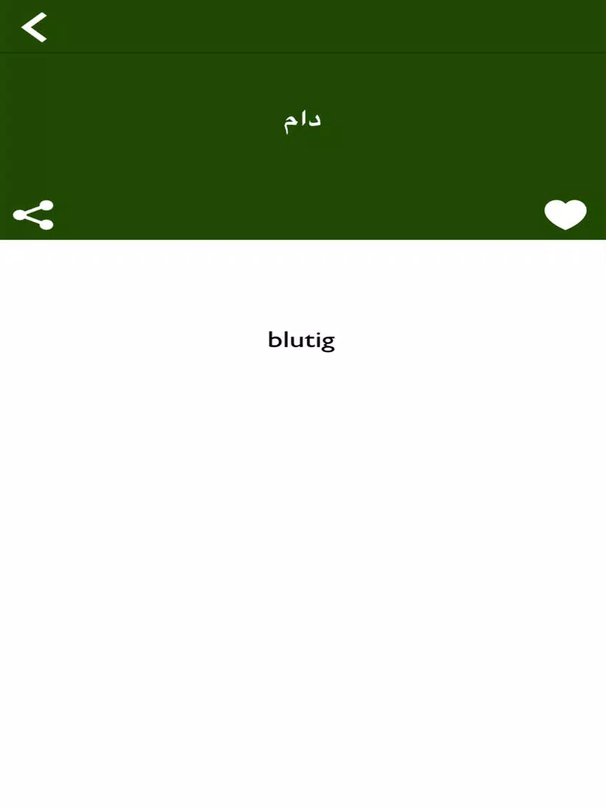 قاموس ألماني عربي بدون أنترنت iPad Screenshots