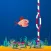 floppy fish circle
