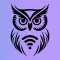 Owl VPN: Fast & Simple Proxy