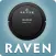 RAVEN Smart Cleaner