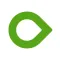 Dexcom ONE