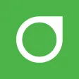 Dexcom G6® mmol/L DXCM8