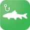 Baitfish Primer
