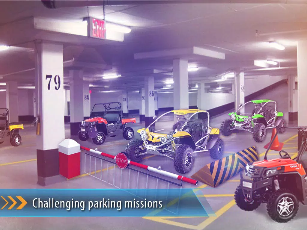 3D Buggy Parking Mania - Multi Level Driving Test in City Trafic Simulator iPad 스크린샷