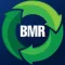 8th BMR Conference