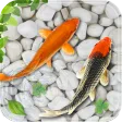 Fish Live Wallpaper Aquarium