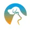 Pawmate - Smart Pet Feeder