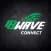 IB Wave Connect