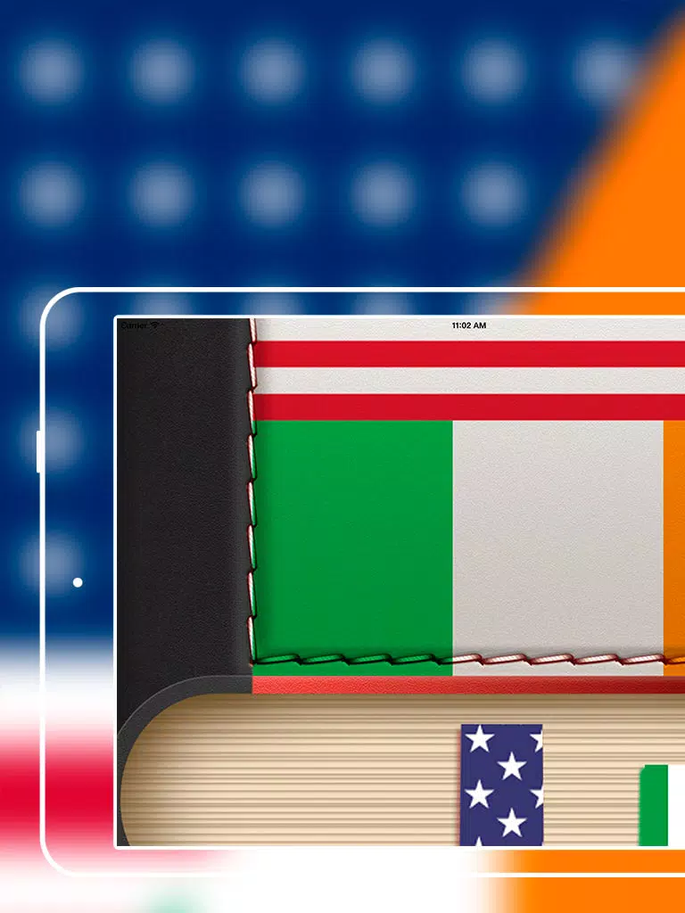 Offline Irish to English Language Dictionary iPad Screenshots