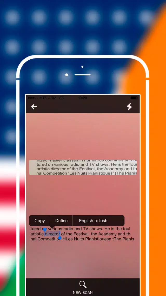 Offline Irish to English Language Dictionary Screenshots